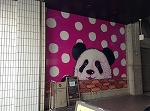 panda: image 2 0f 3